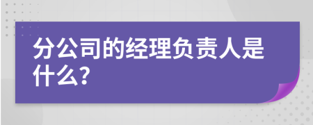 分公司的经理负责人是什么？