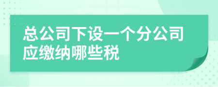 总公司下设一个分公司应缴纳哪些税