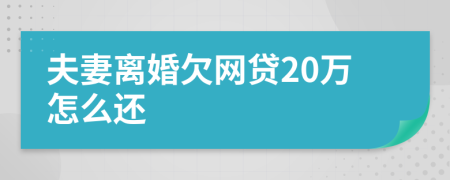 夫妻离婚欠网贷20万怎么还