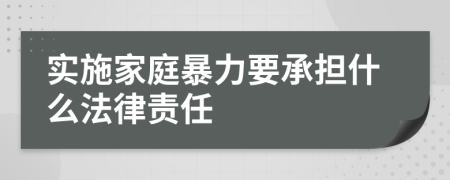 实施家庭暴力要承担什么法律责任