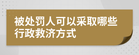 被处罚人可以采取哪些行政救济方式