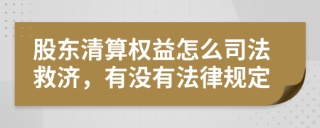 股东清算权益怎么司法救济，有没有法律规定