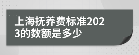 上海抚养费标准2023的数额是多少