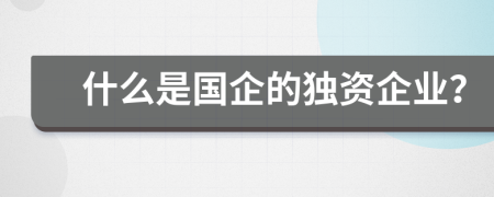 什么是国企的独资企业？