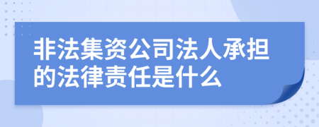 非法集资公司法人承担的法律责任是什么