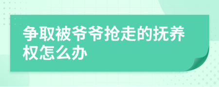争取被爷爷抢走的抚养权怎么办