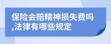 保险会赔精神损失费吗,法律有哪些规定