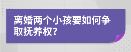 离婚两个小孩要如何争取抚养权？