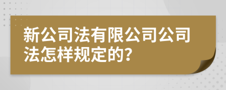 新公司法有限公司公司法怎样规定的？