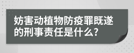 妨害动植物防疫罪既遂的刑事责任是什么?