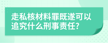 走私核材料罪既遂可以追究什么刑事责任?