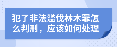 犯了非法滥伐林木罪怎么判刑，应该如何处理