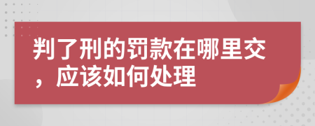 判了刑的罚款在哪里交，应该如何处理