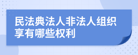 民法典法人非法人组织享有哪些权利