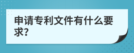 申请专利文件有什么要求？