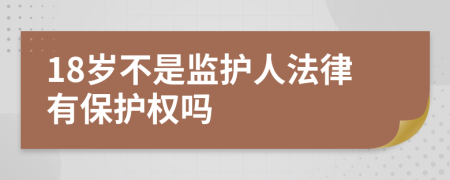 18岁不是监护人法律有保护权吗