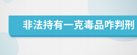 非法持有一克毒品咋判刑