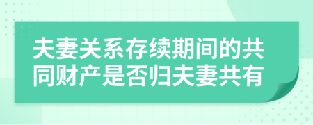 夫妻关系存续期间的共同财产是否归夫妻共有