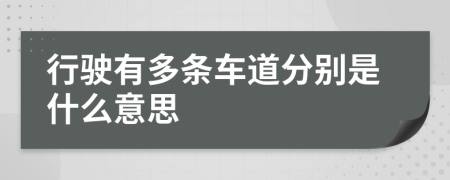 行驶有多条车道分别是什么意思