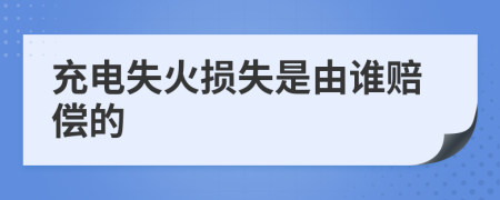 充电失火损失是由谁赔偿的