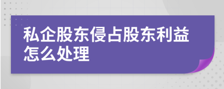 私企股东侵占股东利益怎么处理