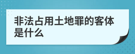 非法占用土地罪的客体是什么