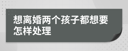想离婚两个孩子都想要怎样处理