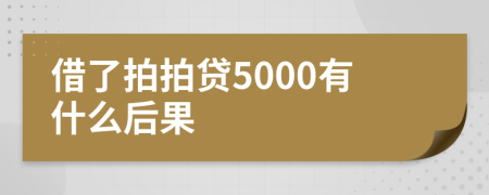 借了拍拍贷5000有什么后果