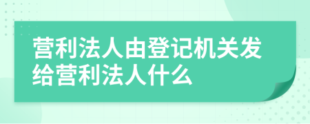 营利法人由登记机关发给营利法人什么