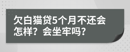 欠白猫贷5个月不还会怎样？会坐牢吗？