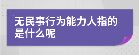 无民事行为能力人指的是什么呢