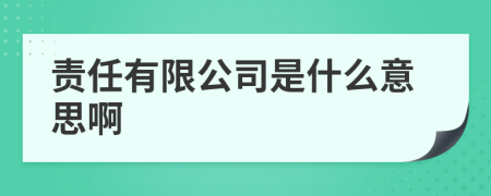 责任有限公司是什么意思啊