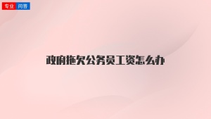 政府拖欠公务员工资怎么办