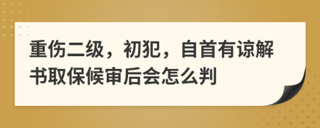 重伤二级，初犯，自首有谅解书取保候审后会怎么判