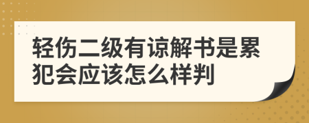 轻伤二级有谅解书是累犯会应该怎么样判