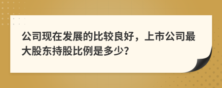 公司现在发展的比较良好，上市公司最大股东持股比例是多少？