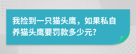 我捡到一只猫头鹰，如果私自养猫头鹰要罚款多少元?