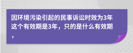 因环境污染引起的民事诉讼时效为3年这个有效期是3年，只的是什么有效期，