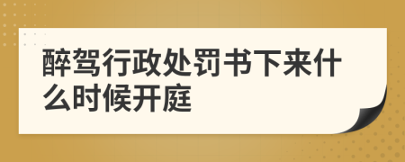 醉驾行政处罚书下来什么时候开庭