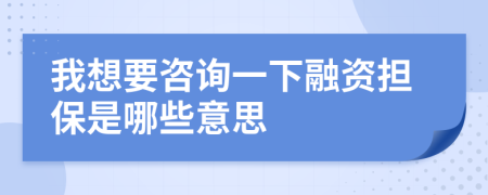 我想要咨询一下融资担保是哪些意思