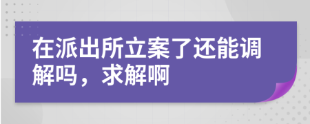 在派出所立案了还能调解吗，求解啊