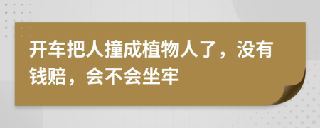开车把人撞成植物人了，没有钱赔，会不会坐牢