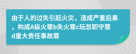 由于人的过失引起火灾，造成严重后果，构成A纵火罪b失火罪c玩忽职守罪d重大责任事故罪