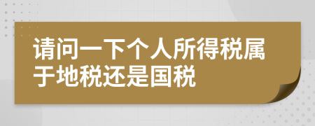 请问一下个人所得税属于地税还是国税