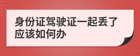 身份证驾驶证一起丢了应该如何办