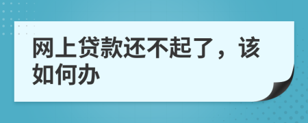 网上贷款还不起了，该如何办