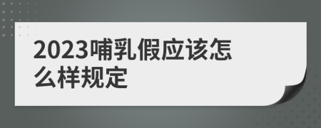2023哺乳假应该怎么样规定