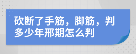 砍断了手筋，脚筋，判多少年邢期怎么判