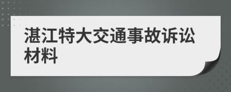 湛江特大交通事故诉讼材料