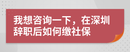 我想咨询一下，在深圳辞职后如何缴社保